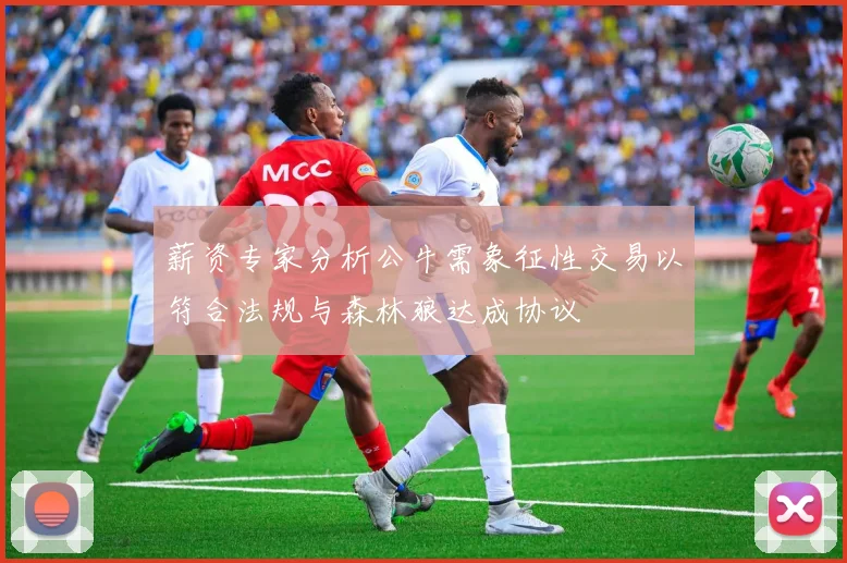 薪资专家分析公牛需象征性交易以符合法规与森林狼达成协议