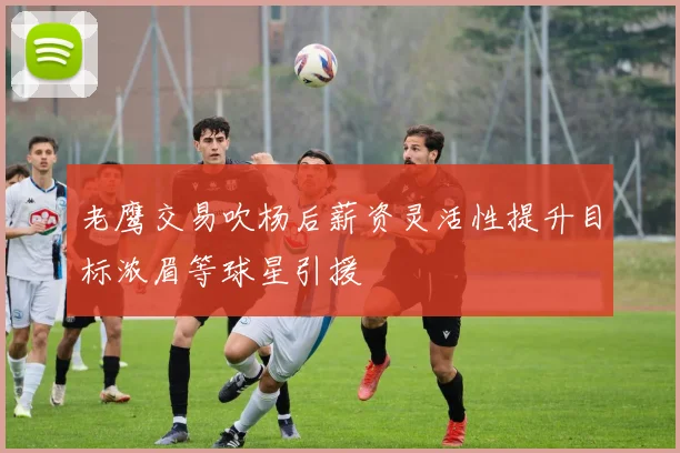 老鹰交易吹杨后薪资灵活性提升目标浓眉等球星引援
